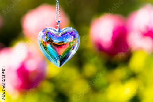 heart crystal glass  refract sunlight - rose garden background