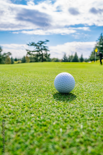 Golf Course where the turf is beautiful and Golf Ball on putting green. Golf is a sport to play on the turf 