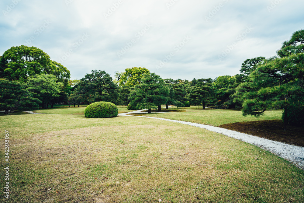 Fototapeta premium Meadow scenery landscape with blue sky concept in spring. Smooth green grass lawn trees with supporting and shrub in a good maintenance gray curve pattern walkway. beautiful nature forest park japan.