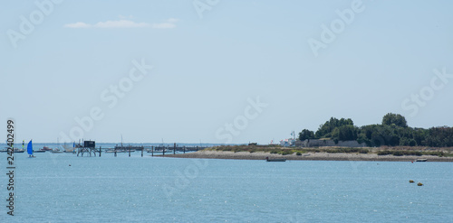 Fototapeta Naklejka Na Ścianę i Meble -  Panorama littoral Ile d'Aix Charente Maritime France