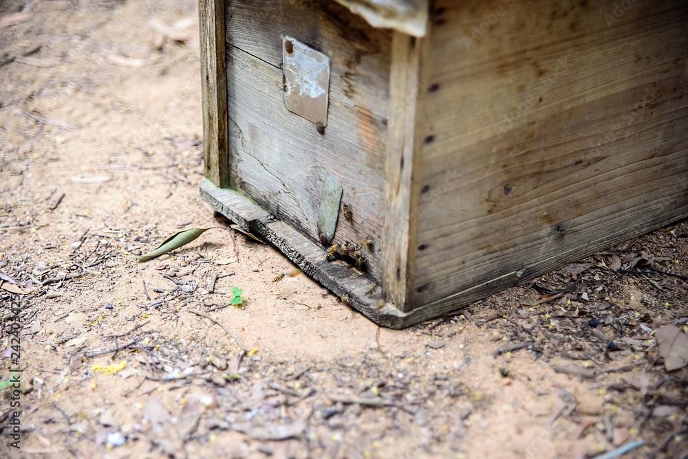 Beehive bee house Beehive bee house