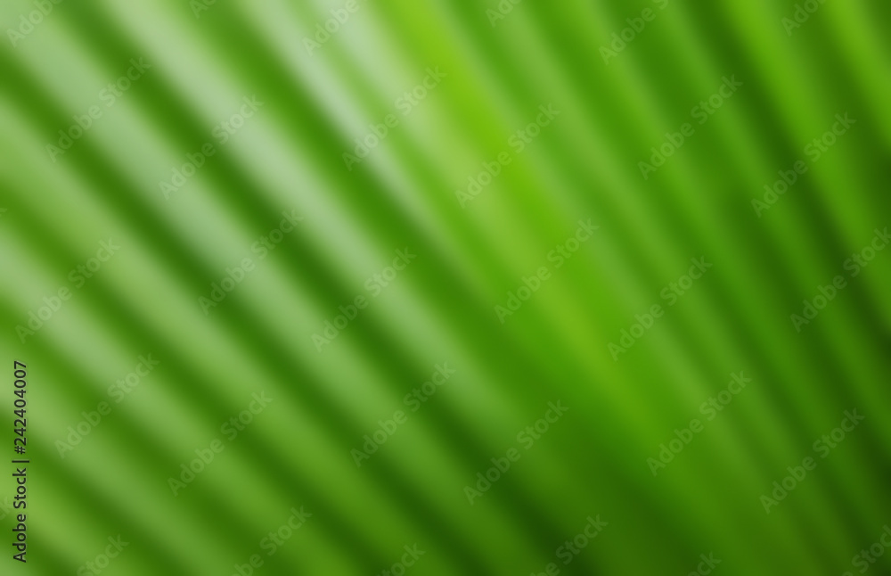 Abstract blur of green leaf for background Abstract blur of green leaf for background