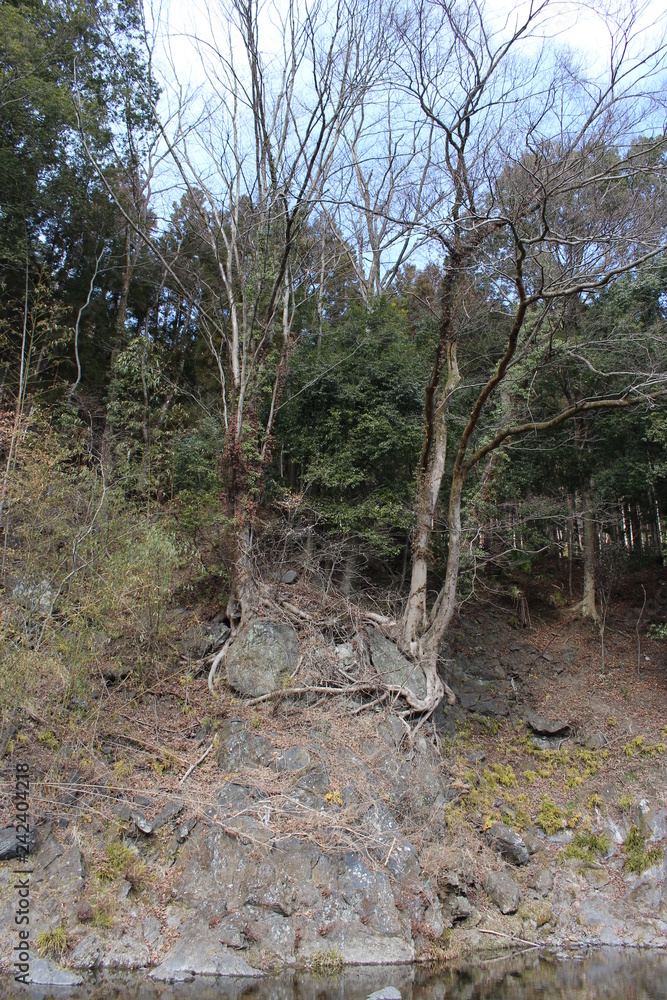 下仁田ジオパーク(跡倉フェンスター(地窓)) 下仁田ジオパーク(跡倉フェンスター(地窓))