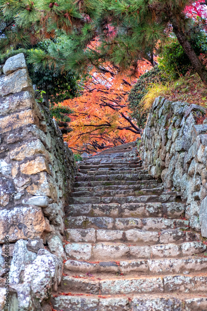 An old stone stairs with red and yellow colors tree leaves in autumn