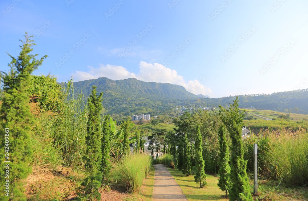 Walkway in hillside with morning sunlight.