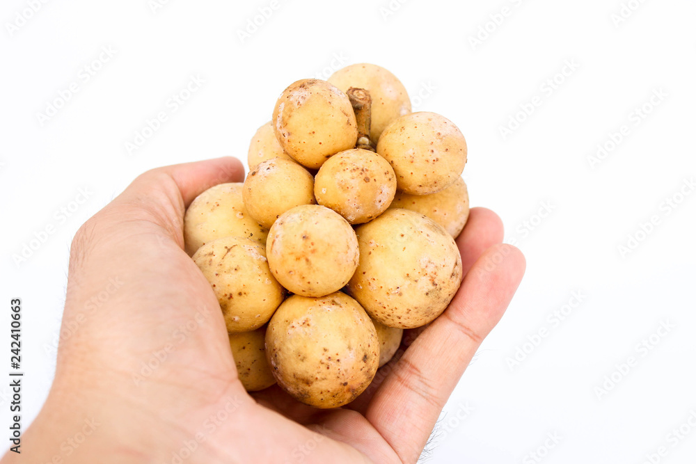 Longkong holding in hand isolated on white background. Fruit concept. Longkong holding in hand isolated on white background. Fruit concept.
