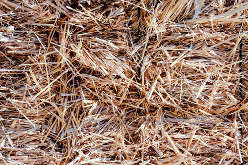 Background The natural texture of dry straw