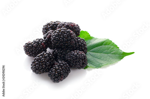 Blackberries isolated on white background.