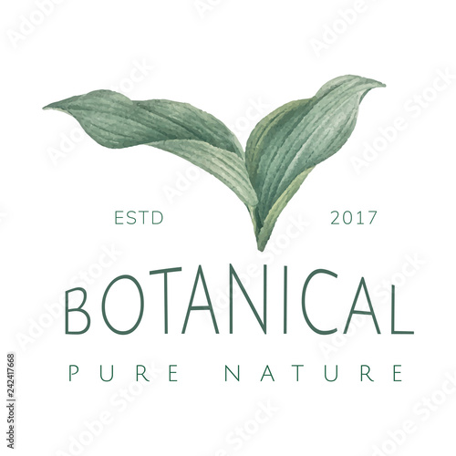 Botanical pure nature logo vector