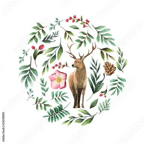 Deer surrounded by winter bloom watercolor vector