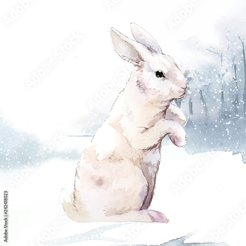 Drawing rabbit in a snow outdoor