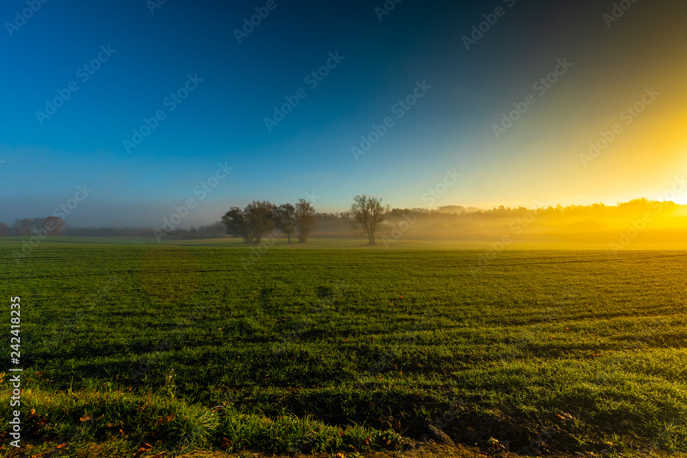The morning field. Fog above the ground. Beautiful landscape.