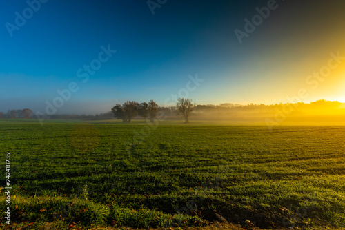 The morning field. Fog above the ground. Beautiful landscape.