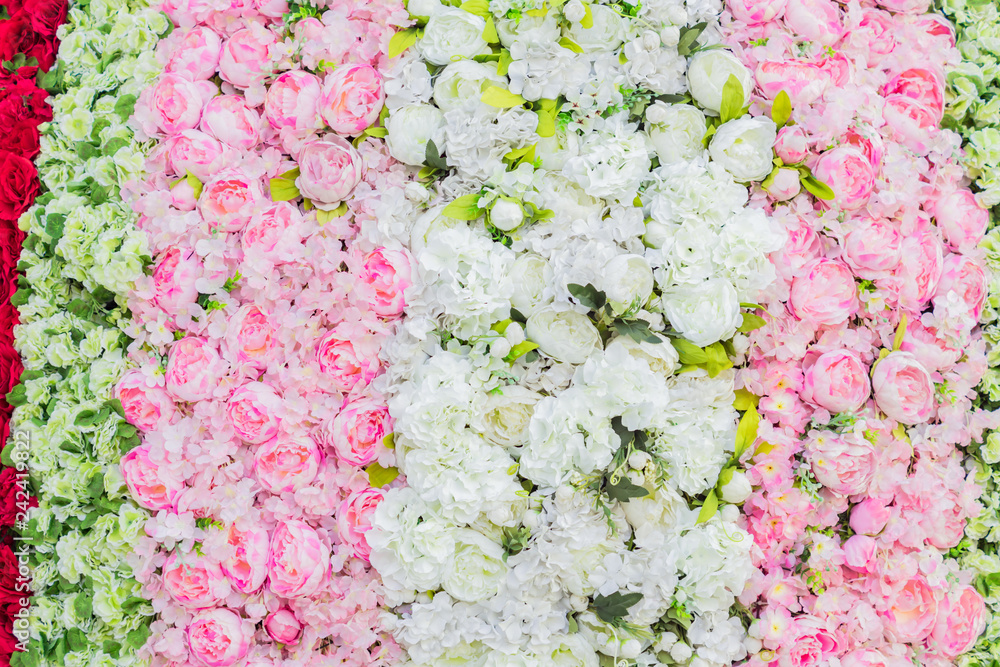 artificial blooming peonies and roses of white, red and pink color background artificial blooming peonies and roses of white, red and pink color background
