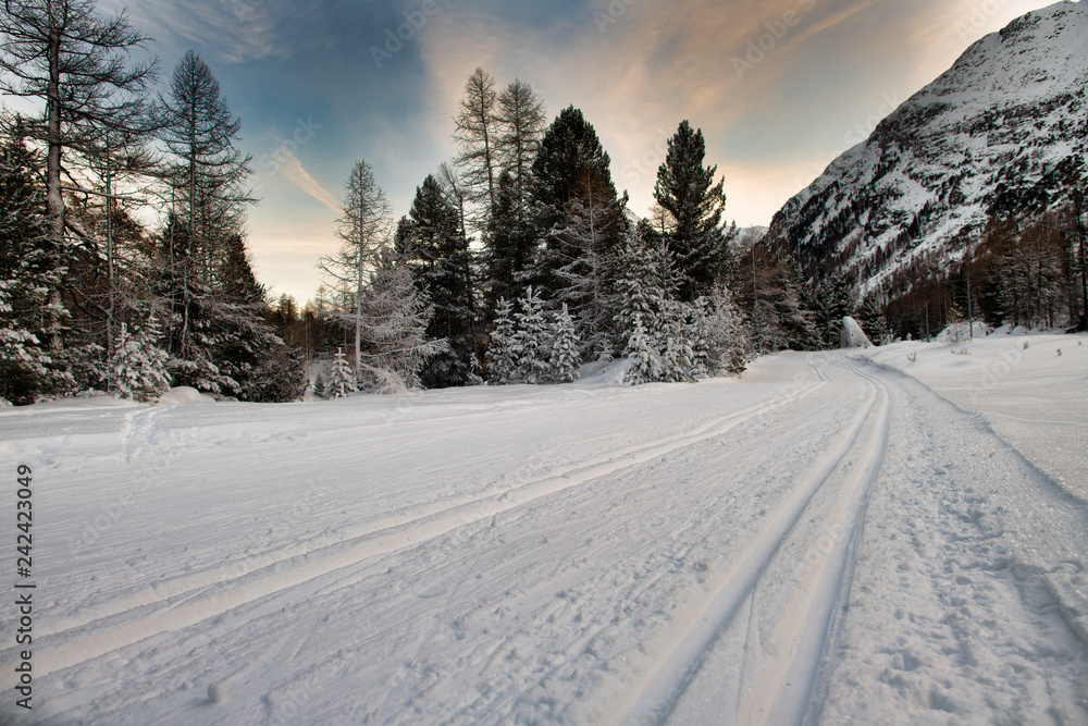 Cross-country ski trail in the Alps ski area