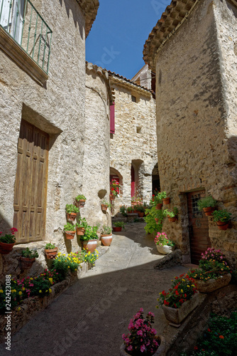 Fototapeta Naklejka Na Ścianę i Meble -  Saint-Guilhem-le-Désert, Hérault, Languedoc-Roussillon, France