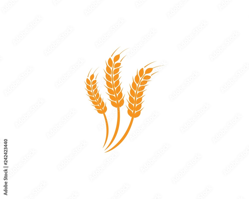 wheat Logo Template wheat Logo Template