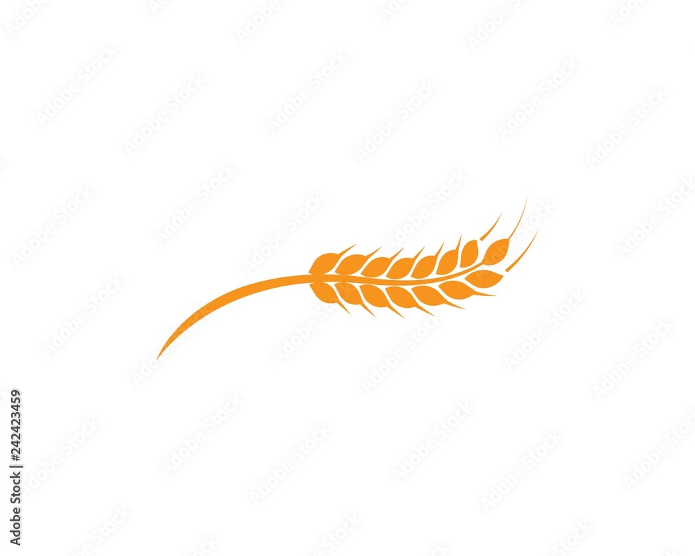 wheat Logo Template wheat Logo Template