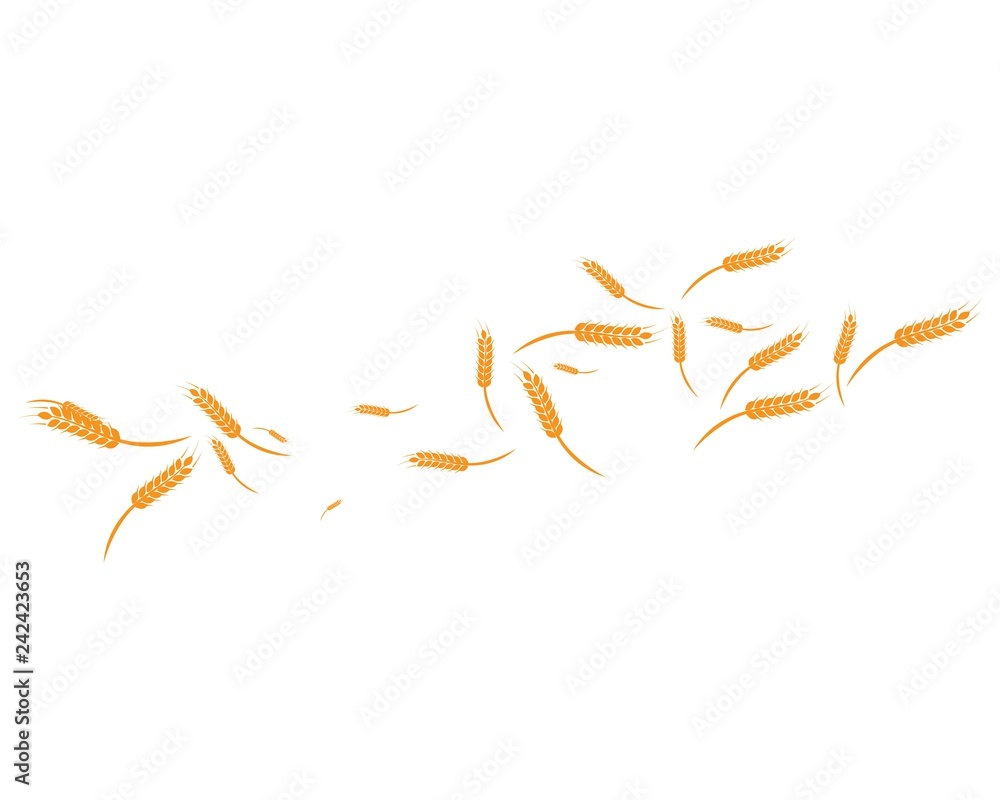 wheat Background Template wheat Background Template