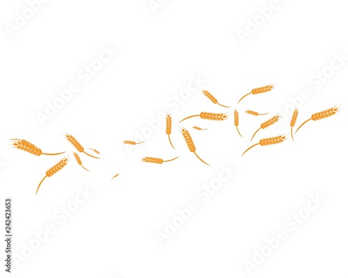 wheat Background Template