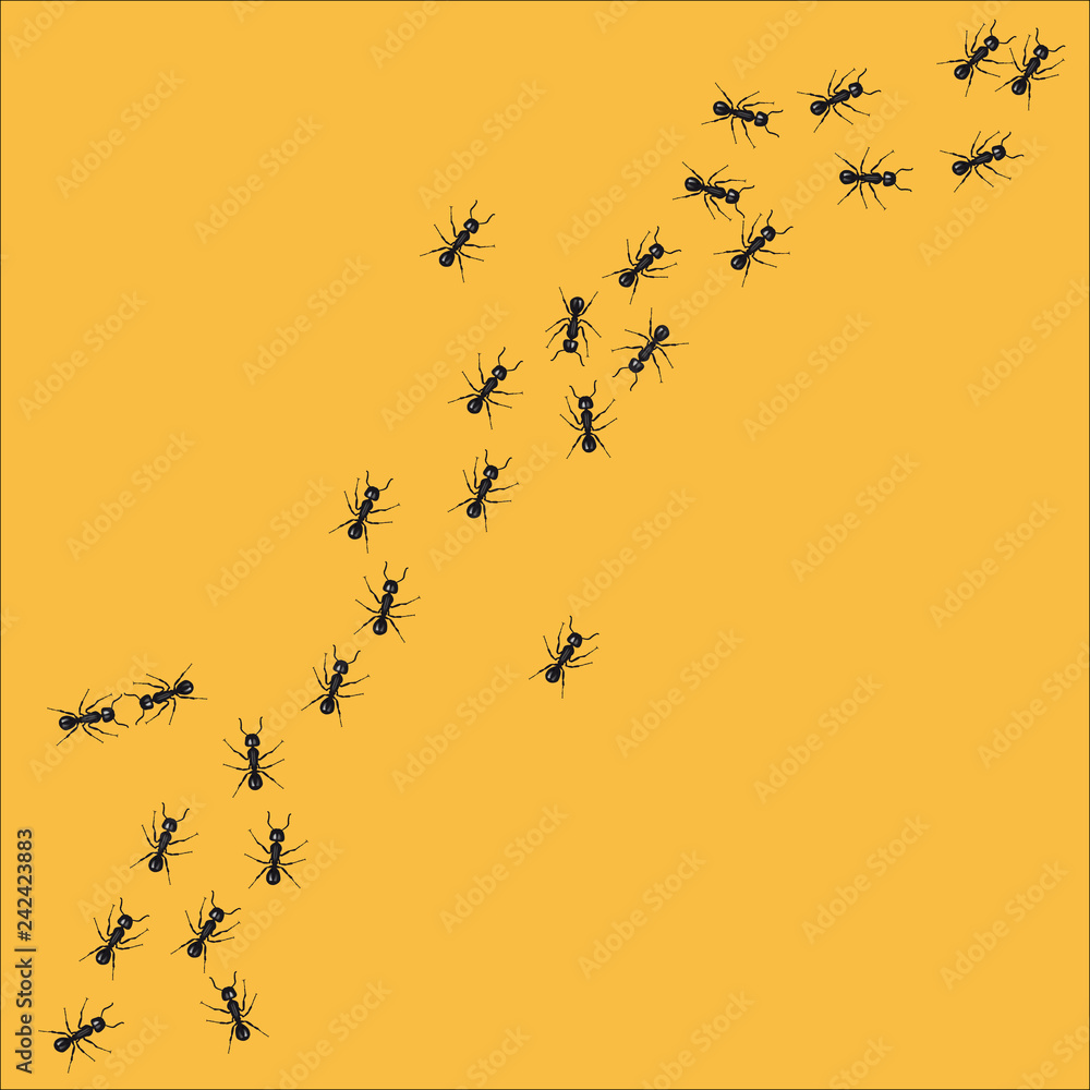 Εκτύπωση καμβά A line of worker ants marching in search of food