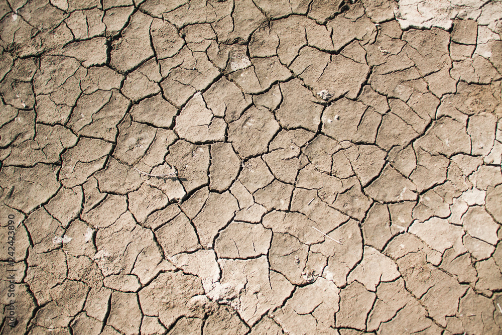 cracked earth texture cracked earth texture