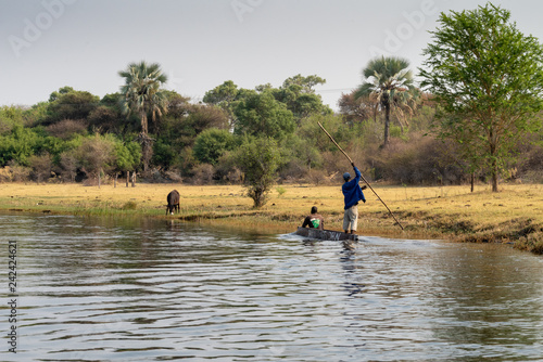 Mokoro fahren ist im Okavango Delta die übliche Fortbewegungsart, Okavango Delta, Botswana photo