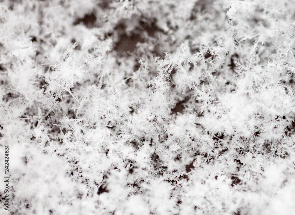 Fototapeta premium White snowflakes on nature as a background