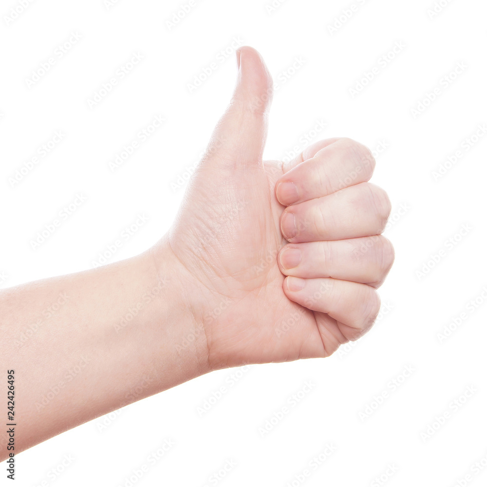 thumbs up hand sign isolated on white thumbs up hand sign isolated on white