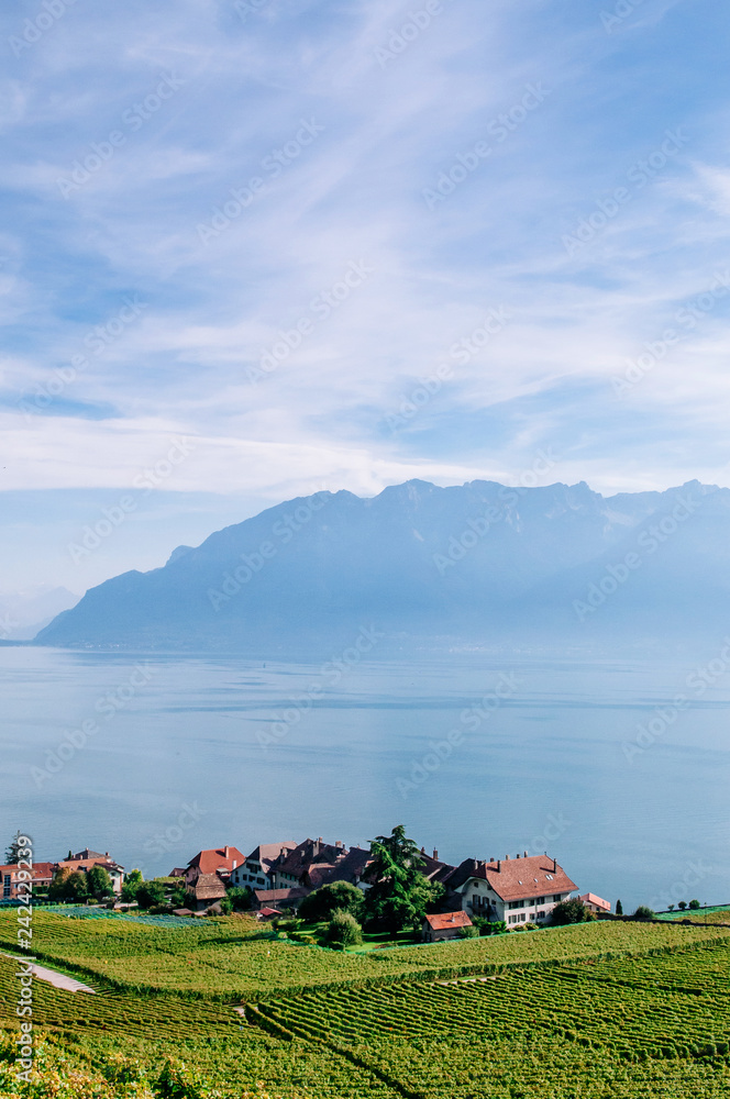 Φωτογραφία Vineyard terrace in Chexbres village in Lavaux near Vevey and Montreux