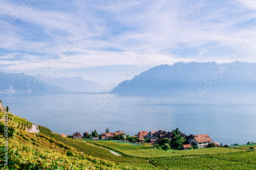 Vineyard terrace in Chexbres village in Lavaux near Vevey and Montreux photo