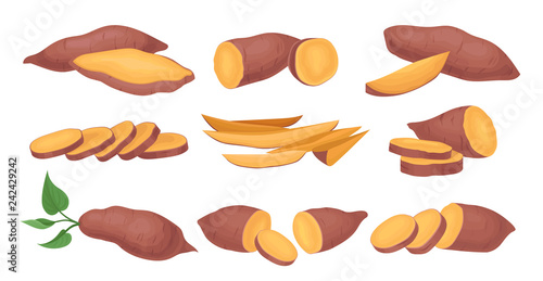 Schilderij op canvas Flat vector set of whole and sliced sweet potatoes