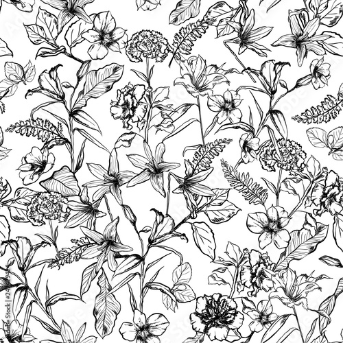 Black and white botanical flowers in the garden hand drawn by pencil seamless pattern vector for fashion, fabric,wallpaper and all prints