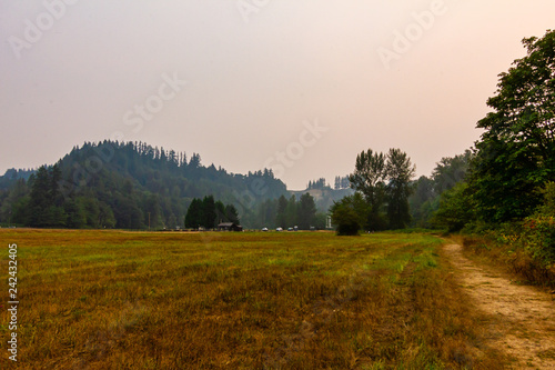 path along the right side of field near forested mountains
