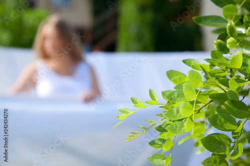 Photos Green plant in sunlight on blurred background drying clean laundry in rope outdo