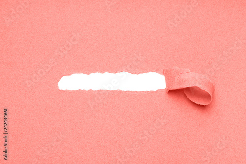 hole torn in coral color paper background to reveal hidden copy space underneath photo