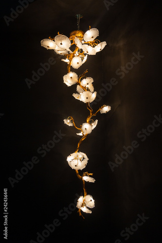Beautiful luxurious chandelier in the form of flowers on a black background. Interiors