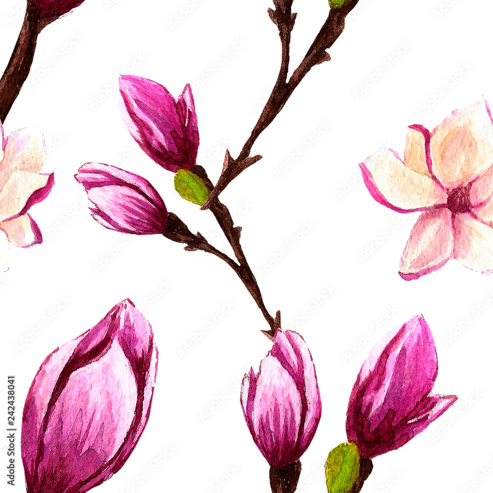 floral watercolor patterns. print Wallpaper to portray. hand-drawn paints. living material. magnolia