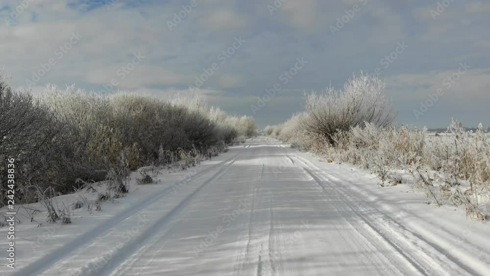 Flight ahead above a snowy road. Trees and shrubs are covered with snow, winter beauty Flight ahead above a snowy road. Trees and shrubs are covered with snow, winter beauty