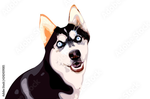 drawn illustration of a blue-eyed husky dog on a white background showing the language for logos, t-shirts