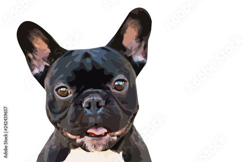 one brown emotional french bulldog on isolated background. drawn illustration for logos, t-shirts