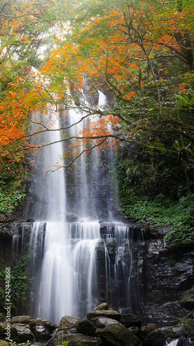 Autumn Yunshen waterfall in New Taipei City Sanxia District, New Taipei City, Taiwan photo