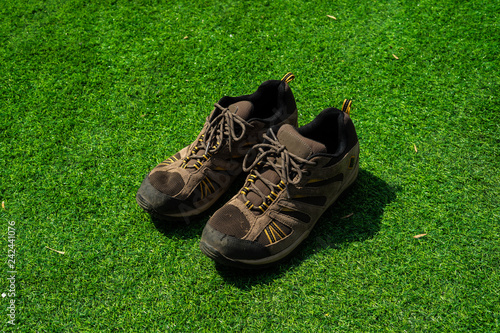 The one pair of brown shoes on the green grass.