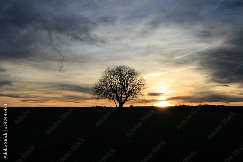 Fototapeta premium Sonnenuntergang