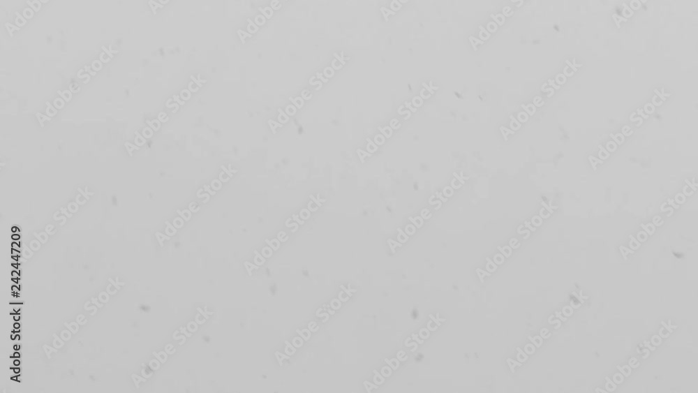 Schneeflocken Schneeflocken