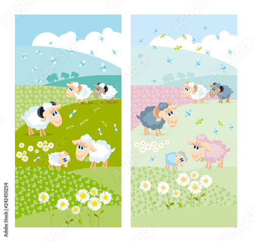 sheeps on green hills with white flowers © galyna_p