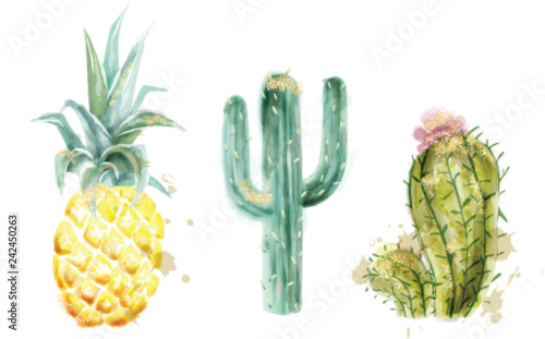 Pineapple and cactus set Vector watercolor. Exotic tropic collection painted styles