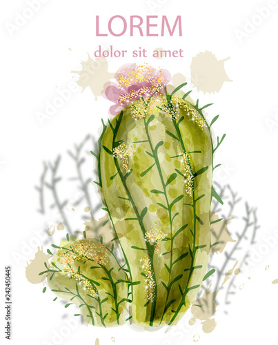 Cactus isolated watercolor. Summer exotic flower. Tropic collection painted s...