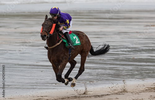 Galloping race horse and jockey on wet sand beach, motion blur speed effect