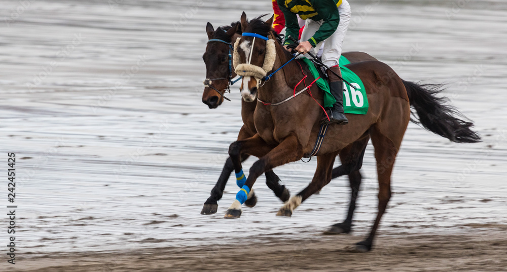 Galloping race horse and jockey competing on wet sand beach, motion blur speed effect Galloping race horse and jockey competing on wet sand beach, motion blur speed effect